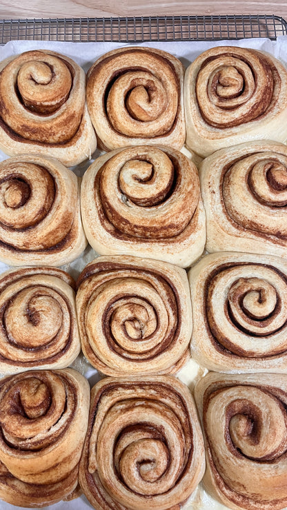 Cinnamon Bun